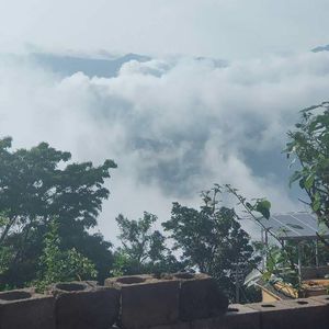 悬停的孤寂_依雨