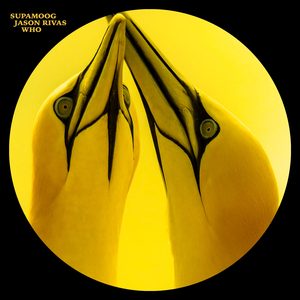 Who (Instrumental Mix)