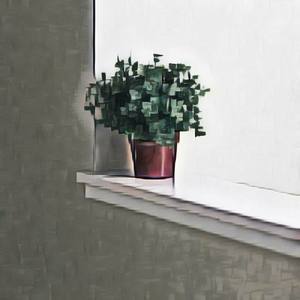 Radii Kindly Protection