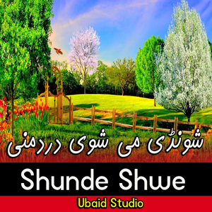 Shunde Shwe