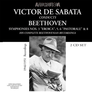 Symphony No. 3 in E-Flat Major, Op. 55, "Eroica":II. Marcia funebre: Adagio assai