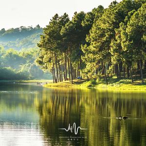 风水轮流转 (深度放松古琴曲)