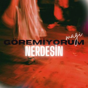 Göremiyorum