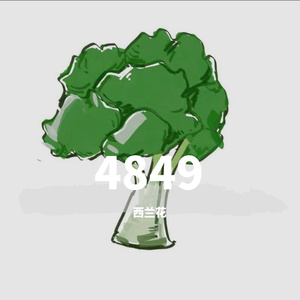 姜云升-网易云~3（西兰花 remix）