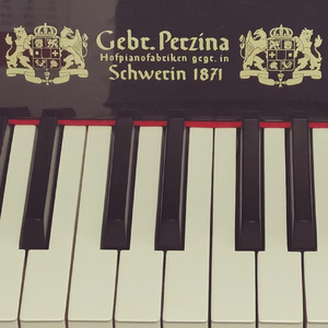 夜の向日葵 (翻自 松本文紀)