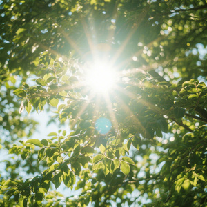 诗中寻（古诗融合版）