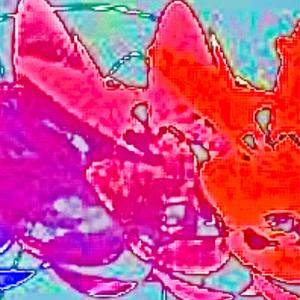 Dear M Don't Ever Tell A Woman Your Postal Code God Save The Child