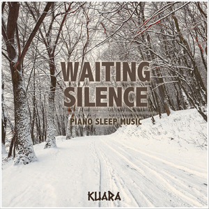 Waiting Silence