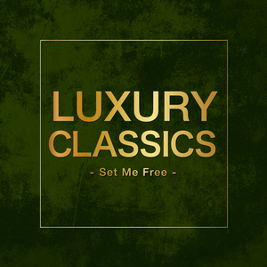 Violin Concerto No. 1 In D Major, Op. 6: Allegro maestoso