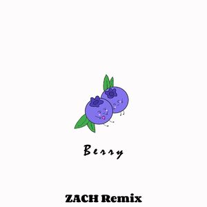 Berry（ZACH REMIX）