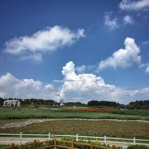 青城山下白素贞 钢琴