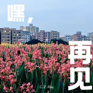 嘿，再见