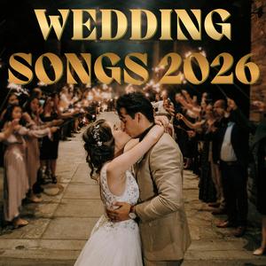 I Could Get Used To This (Orchestral Acoustic)