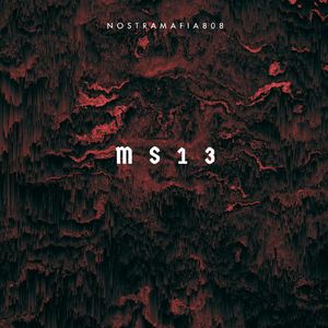 MS13