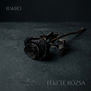 Fekete Rózsa