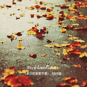 รักเท่าไหร่ก็ไม่เอา（多少的爱都不要）R&B版