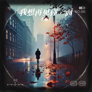 我想再见你一面