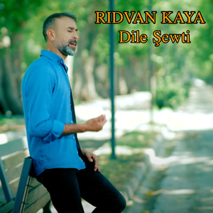 Dile Şewti