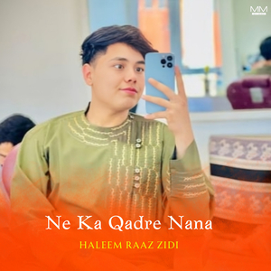 Nee Asul Ghamgeen Marais