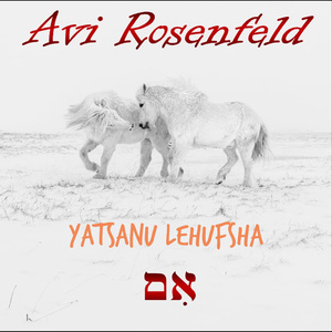 Yatsanu Lehufsha (We Went On Vacation)