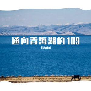 通向青海湖的109