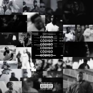 Codigo
