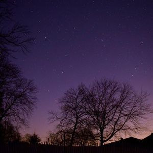 天下的乌鸦一般黑