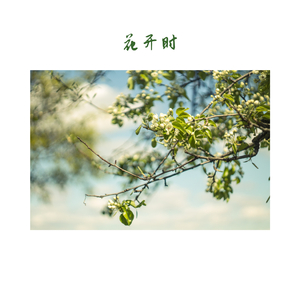 花开时 (古琴)
