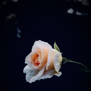 ＂悬浮＂Gunna/CashTrippy/KKECHO Type Beat