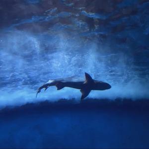 凤凰传奇-海底（Live）（小张恒恒 remix）