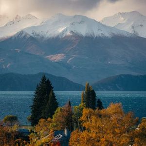 蝉鸣之声（沉浸学习钢琴曲）