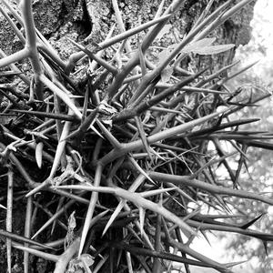 01.12.2024 (Believe)