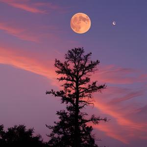 总会有人把你看得很重要