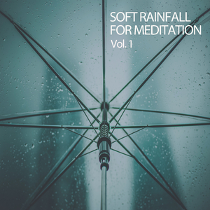 The Rain, The Park and Other Things