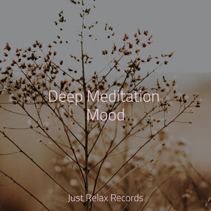 Soulful Solace Sojourn