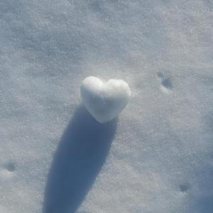 冬至已至你未至