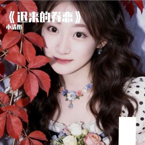 《迟来的眷恋》