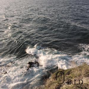 B.I.D