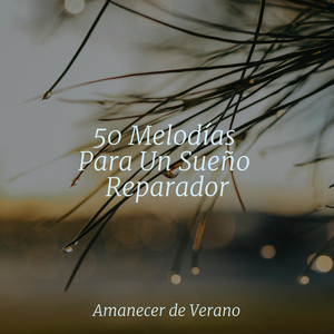 Ritmo apresurado de la isla