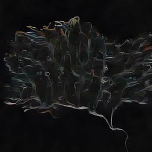 Marceline the Vampire Queen