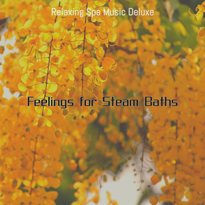 Opulent Steam Baths