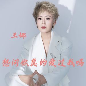 想问你真的爱过我吗 (DJ阿能版)