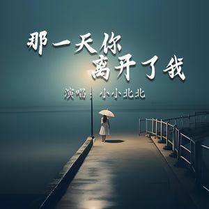 那一天你离开了我