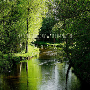 평화로운 자연의 물소리