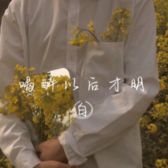 花开的时候你就来看我 (DJ版)
