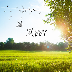M887