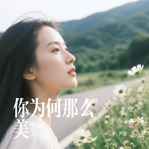 你为何那么美