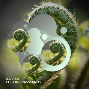 Lost In Grasslands
