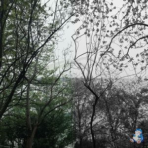 轉生(Prod. youngkyle)