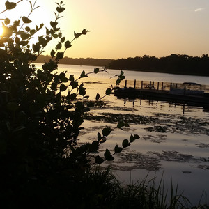 Delta Livin' (zydeco vibe)